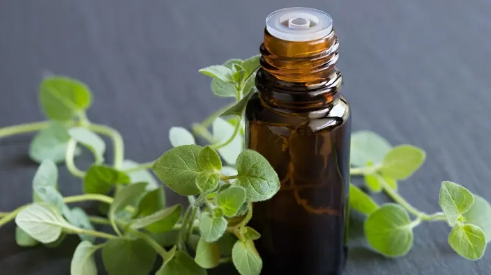 Oregano Oil