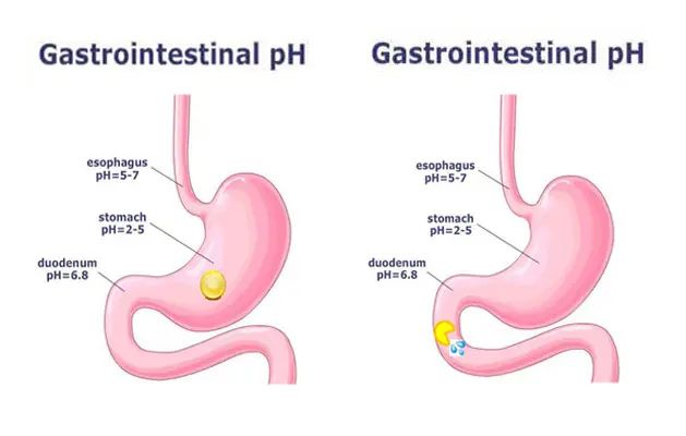 ENTERIC SOFTGEL R & D FORMULATION