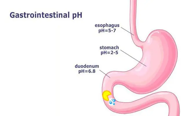 ENTERIC SOFTGEL R & D FORMULATION.