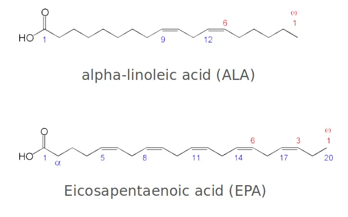 Enteric Omega-3 Softgel-2